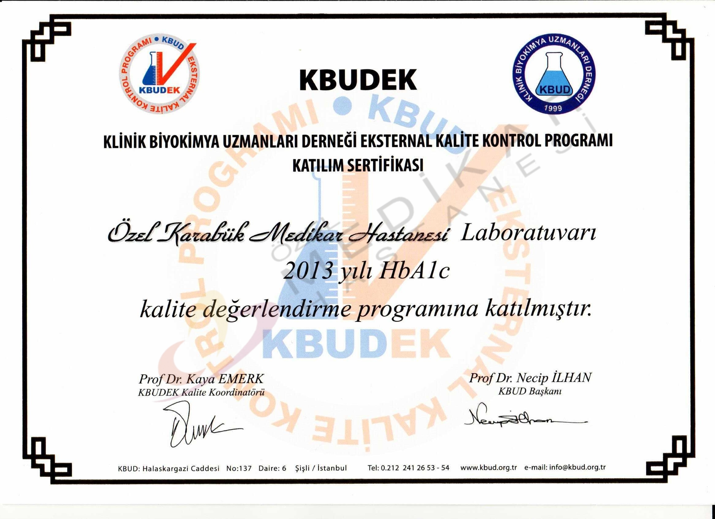 KBUDEK-2013-HBA1C
